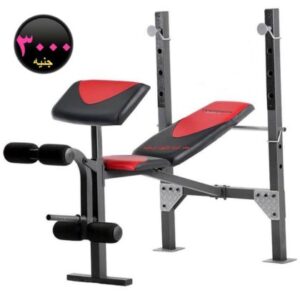 بناء العضلاتBodybuilding