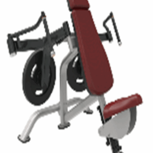 Biceps Curl فراشة صدر Technogym تكنوجيم