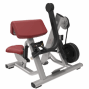 Biceps Curl باى سيبس Technogym تكنوجيم