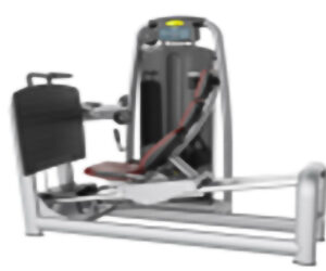 دفع رجل Leg Press Technogym