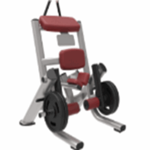 رجل خلفي Technogym تكنوجيم